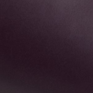 Saltwater™ 1 Eye Duck Shoe image 7